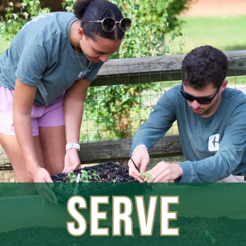 SERVE
